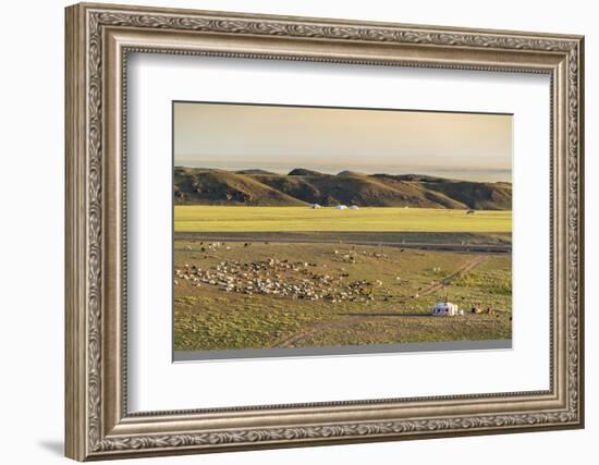 Nomadic camp and livestock, Bayandalai district, South Gobi province, Mongolia, Central Asia, Asia-Francesco Vaninetti-Framed Photographic Print