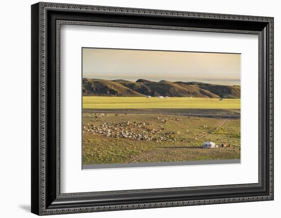 Nomadic camp and livestock, Bayandalai district, South Gobi province, Mongolia, Central Asia, Asia-Francesco Vaninetti-Framed Photographic Print