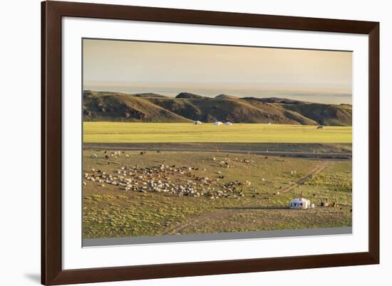 Nomadic camp and livestock, Bayandalai district, South Gobi province, Mongolia, Central Asia, Asia-Francesco Vaninetti-Framed Photographic Print