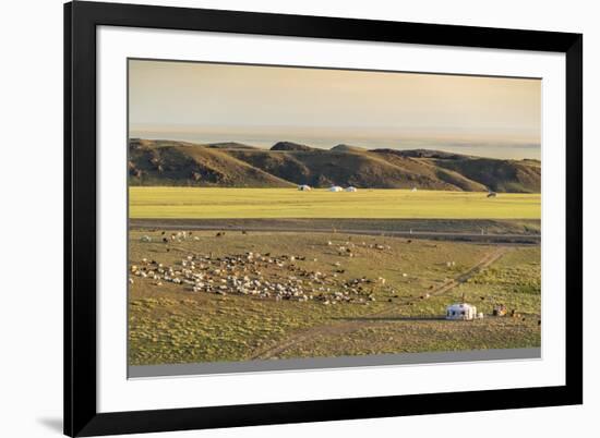 Nomadic camp and livestock, Bayandalai district, South Gobi province, Mongolia, Central Asia, Asia-Francesco Vaninetti-Framed Photographic Print