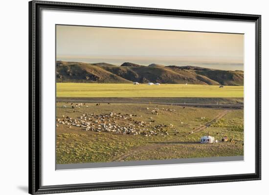 Nomadic camp and livestock, Bayandalai district, South Gobi province, Mongolia, Central Asia, Asia-Francesco Vaninetti-Framed Photographic Print