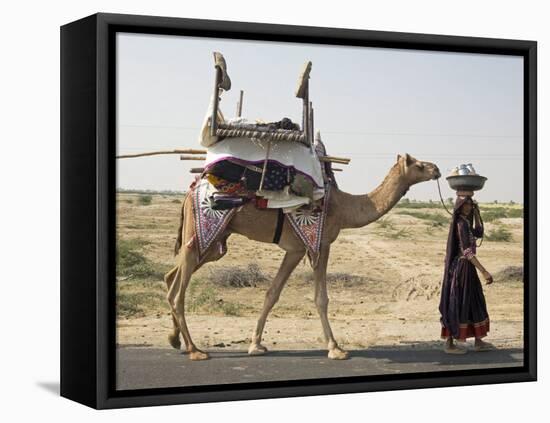 Nomadic Rabhari Tribeswoman Walking in the Kachchh Desert, Lakhdar District, Gujarat-Annie Owen-Framed Premier Image Canvas