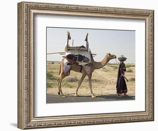 Nomadic Rabhari Tribeswoman Walking in the Kachchh Desert, Lakhdar District, Gujarat-Annie Owen-Framed Photographic Print