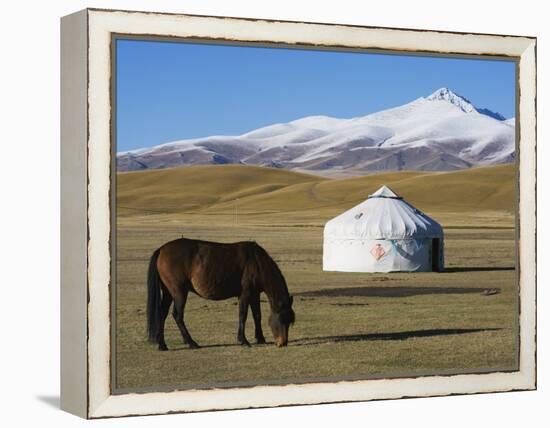 Nomads Horse and Yurt, Bayanbulak, Xinjiang Province, China, Asia-Christian Kober-Framed Premier Image Canvas