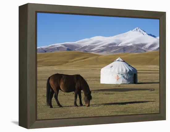 Nomads Horse and Yurt, Bayanbulak, Xinjiang Province, China, Asia-Christian Kober-Framed Premier Image Canvas