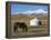 Nomads Horse and Yurt, Bayanbulak, Xinjiang Province, China, Asia-Christian Kober-Framed Premier Image Canvas