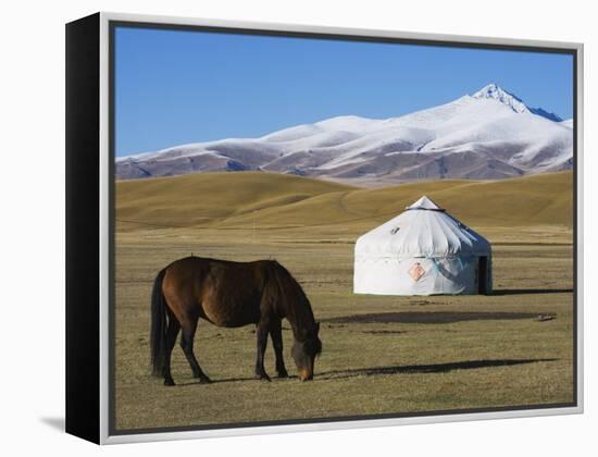 Nomads Horse and Yurt, Bayanbulak, Xinjiang Province, China, Asia-Christian Kober-Framed Premier Image Canvas
