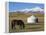 Nomads Horse and Yurt, Bayanbulak, Xinjiang Province, China, Asia-Christian Kober-Framed Premier Image Canvas