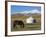 Nomads Horse and Yurt, Bayanbulak, Xinjiang Province, China, Asia-Christian Kober-Framed Photographic Print