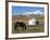 Nomads Horse and Yurt, Bayanbulak, Xinjiang Province, China, Asia-Christian Kober-Framed Photographic Print