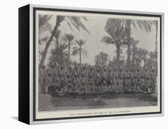 Non-Commissioned Officers of the 11th Soudanese-null-Framed Premier Image Canvas