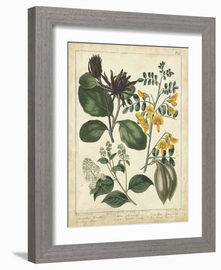 Non-Embellish Enchanted Garden I-Sydenham Teast Edwards-Framed Art Print