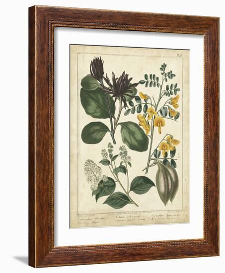 Non-Embellish Enchanted Garden I-Sydenham Teast Edwards-Framed Art Print