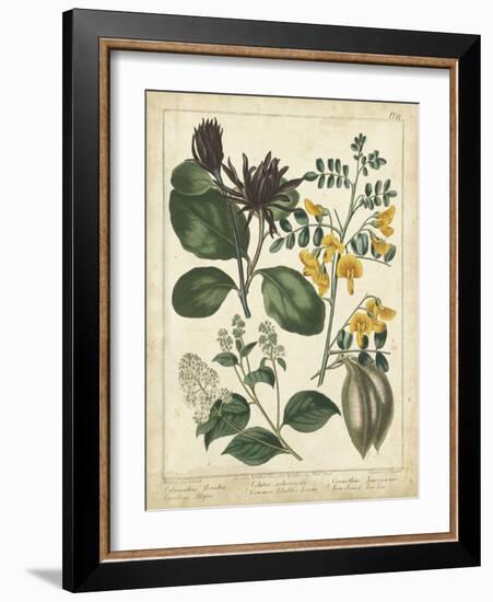 Non-Embellish Enchanted Garden I-Sydenham Teast Edwards-Framed Art Print