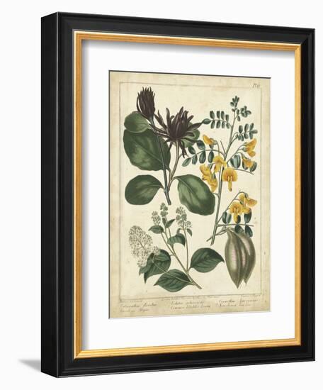 Non-Embellish Enchanted Garden I-Sydenham Teast Edwards-Framed Art Print