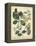 Non-Embellish Enchanted Garden I-Sydenham Teast Edwards-Framed Stretched Canvas