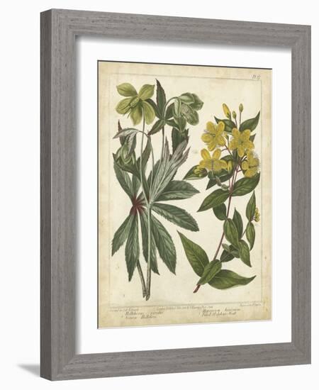 Non-Embellish Enchanted Garden III-Sydenham Teast Edwards-Framed Art Print