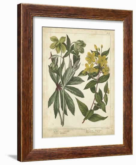 Non-Embellish Enchanted Garden III-Sydenham Teast Edwards-Framed Art Print