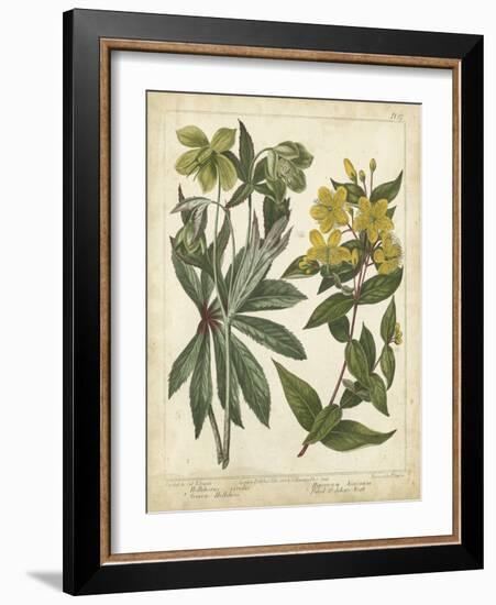 Non-Embellish Enchanted Garden III-Sydenham Teast Edwards-Framed Art Print