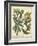 Non-Embellish Enchanted Garden III-Sydenham Teast Edwards-Framed Art Print