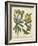 Non-Embellish Enchanted Garden III-Sydenham Teast Edwards-Framed Art Print