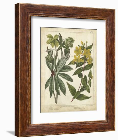 Non-Embellish Enchanted Garden III-Sydenham Teast Edwards-Framed Art Print