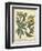 Non-Embellish Enchanted Garden III-Sydenham Teast Edwards-Framed Art Print