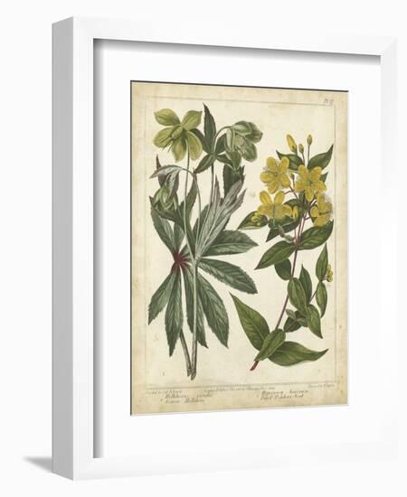 Non-Embellish Enchanted Garden III-Sydenham Teast Edwards-Framed Art Print