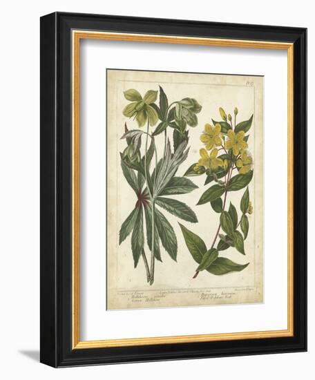 Non-Embellish Enchanted Garden III-Sydenham Teast Edwards-Framed Art Print