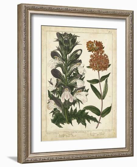 Non-Embellish Enchanted Garden IV-Sydenham Teast Edwards-Framed Art Print