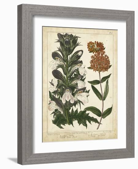 Non-Embellish Enchanted Garden IV-Sydenham Teast Edwards-Framed Art Print