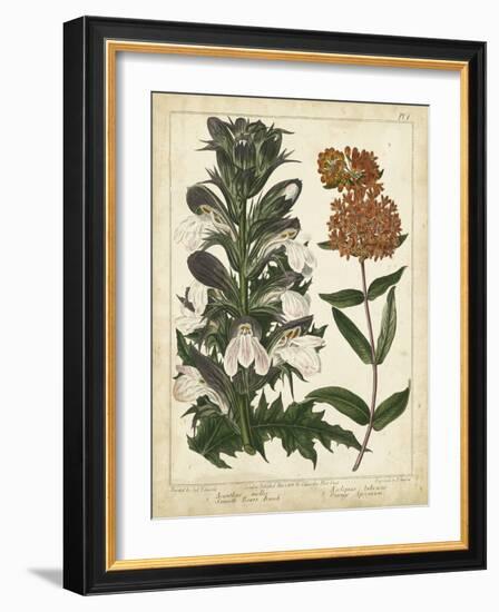 Non-Embellish Enchanted Garden IV-Sydenham Teast Edwards-Framed Art Print