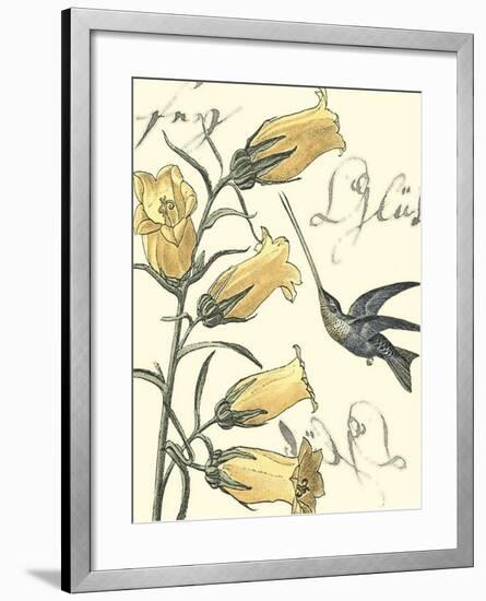 Non-Embellished Hummingbird Reverie II-null-Framed Art Print