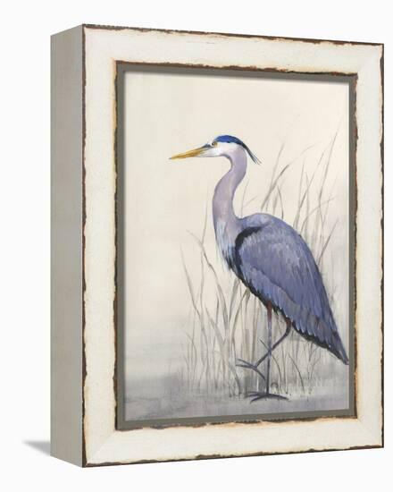 Non-Embellished Keeping Watch II-Tim O'toole-Framed Stretched Canvas