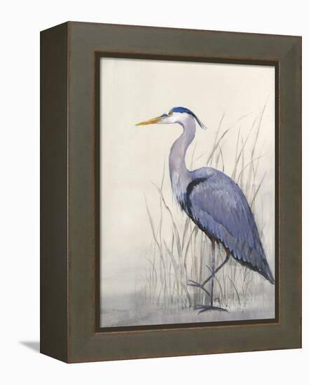 Non-Embellished Keeping Watch II-Tim O'toole-Framed Stretched Canvas