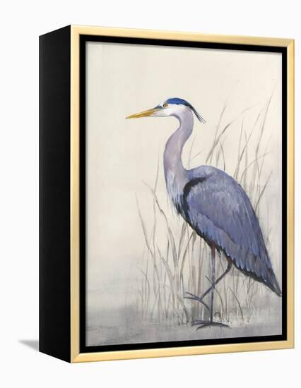 Non-Embellished Keeping Watch II-Tim O'toole-Framed Stretched Canvas