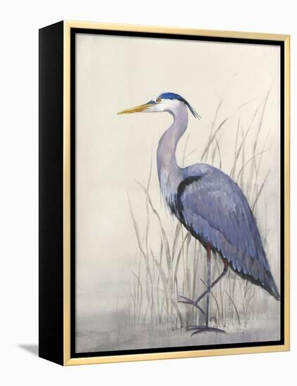 Non-Embellished Keeping Watch II-Tim O'toole-Framed Stretched Canvas