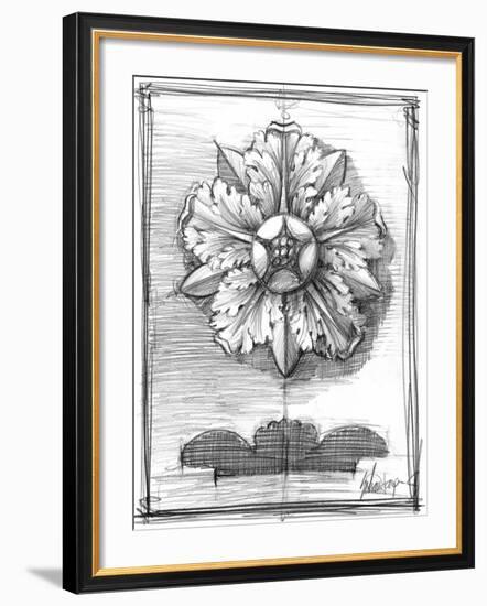 Non-Embld. Decorative Ornament II-Ethan Harper-Framed Art Print