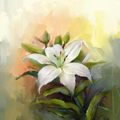 White Lily Flower.Flower Oil Painting Premium Photographic Print -  Nongkran_ch | Art.com