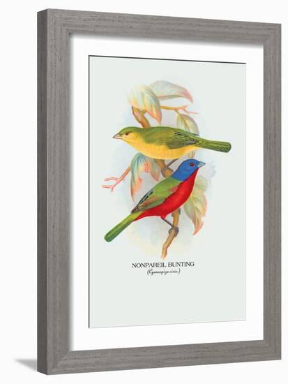 Nonpareil Bunting-Arthur G. Butler-Framed Art Print