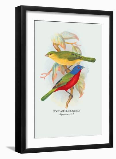 Nonpareil Bunting-Arthur G. Butler-Framed Art Print