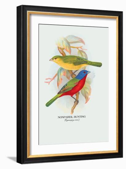 Nonpareil Bunting-Arthur G. Butler-Framed Art Print