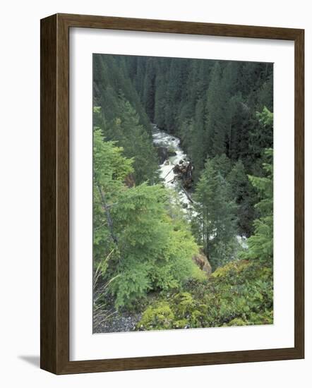 Nooksack River View, Mt. Baker National Forest, Washington, USA-William Sutton-Framed Photographic Print