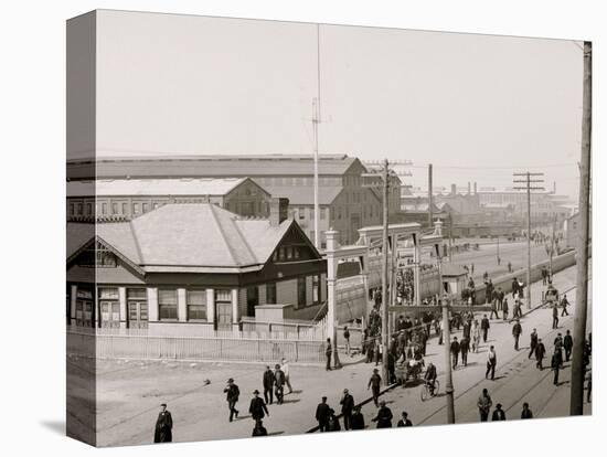 Stretched Canvas Print, , large