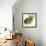 Noon Shadows-Walter Ufer-Framed Giclee Print displayed on a wall