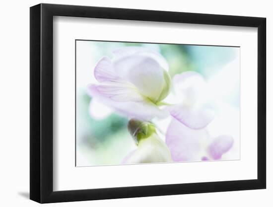 Noonday Dreams - Breath of Light-Jacob Berghoef-Framed Photographic Print