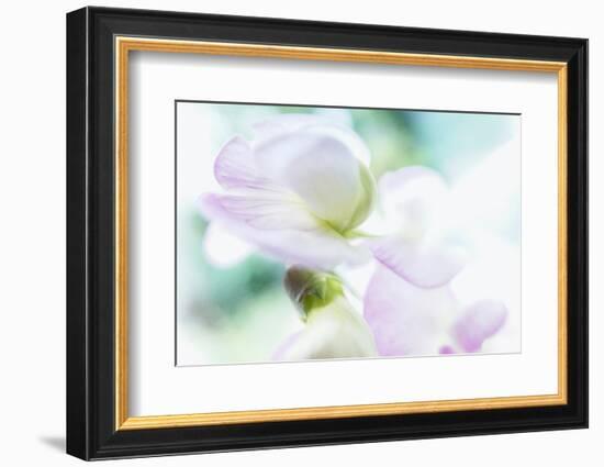 Noonday Dreams - Breath of Light-Jacob Berghoef-Framed Photographic Print