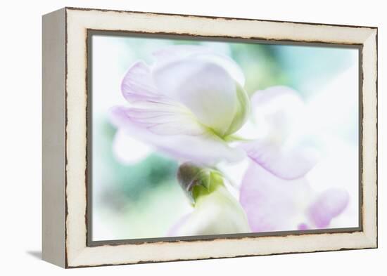 Noonday Dreams - Breath of Light-Jacob Berghoef-Framed Premier Image Canvas