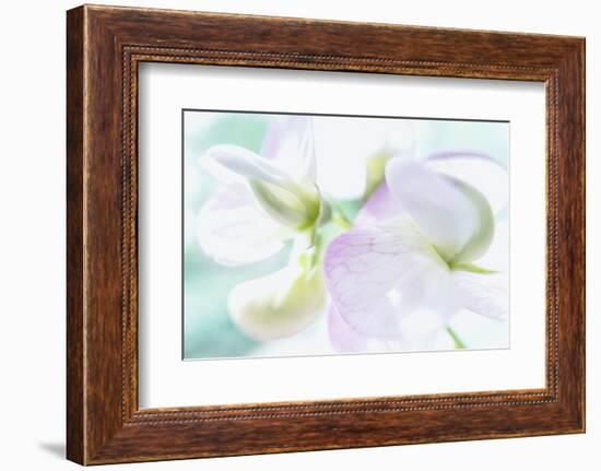 Noonday Dreams - Waves of Light-Jacob Berghoef-Framed Photographic Print