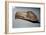 Nootka Eagle Mask, Pacific Northwest Coast, North American Indian-Unknown-Framed Giclee Print
